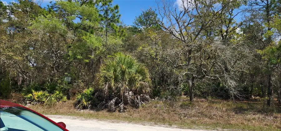 18099 Parakeet Road, Brooksville, FL 34614 - #2