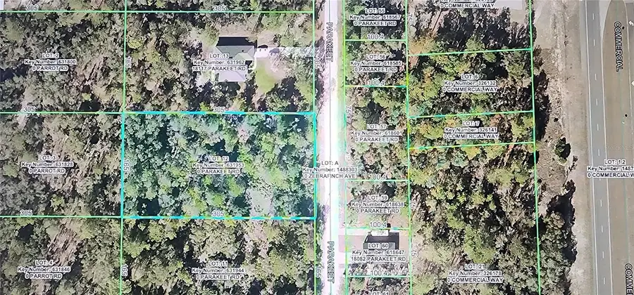18099 Parakeet Road, Brooksville, FL 34614 - #3