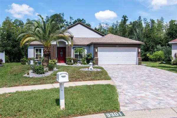 9301 Brookhurst Court, TAMPA, FL 33647