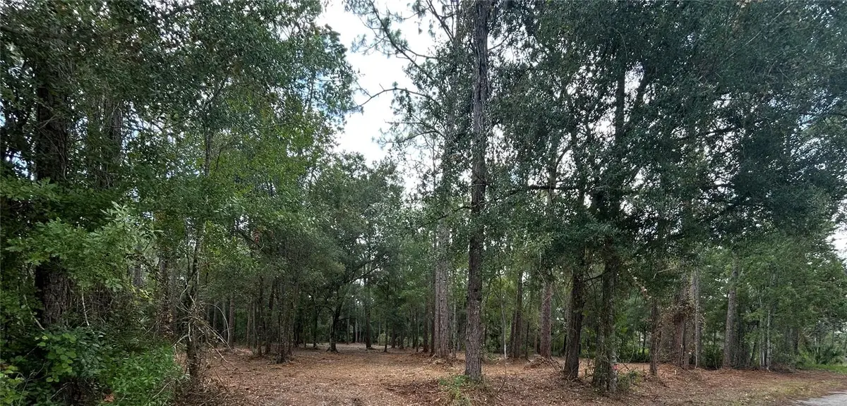 Westpoint Drive, Wesley Chapel, FL 33544 - #1
