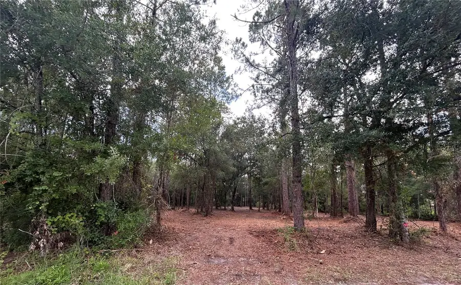 Westpoint Drive, Wesley Chapel, FL 33544 - #2