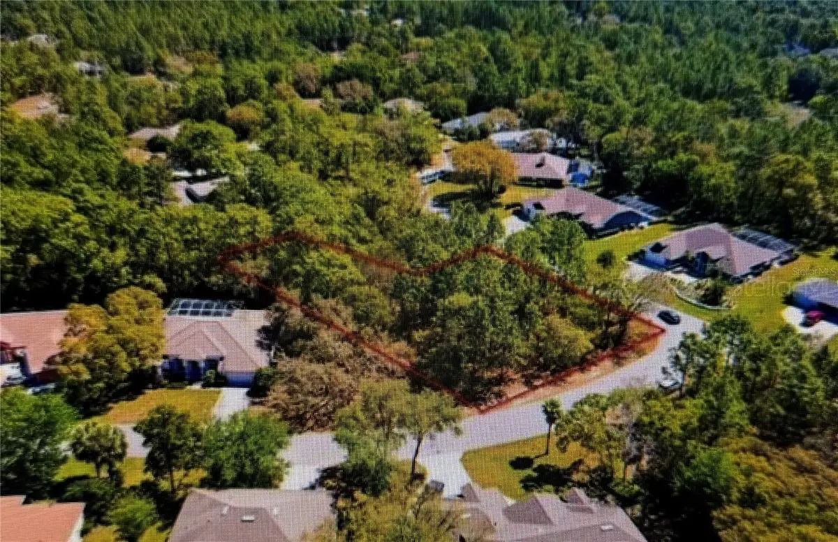 10 Bonnie Drive, Homosassa, FL 34446 - #1