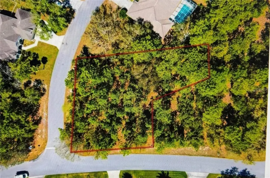 10 Bonnie Drive, Homosassa, FL 34446 - #2