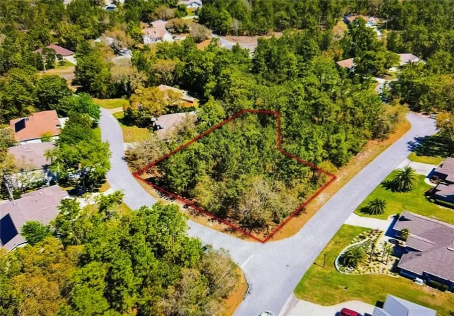 10 Bonnie Drive, Homosassa, FL 34446 - #3