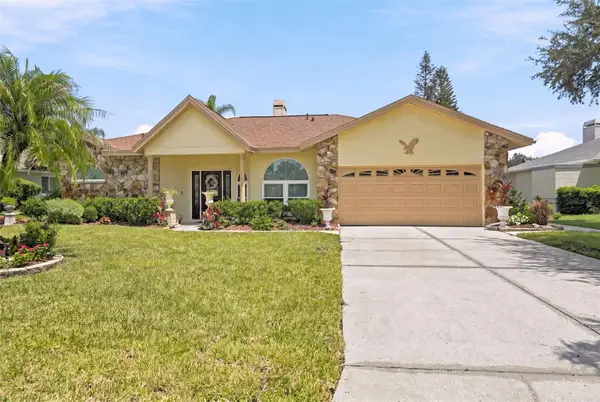 23427 Pine Lake Street, LAND O LAKES, FL 34639