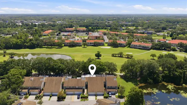 4205 Arborwood Lane, TAMPA, FL 33618