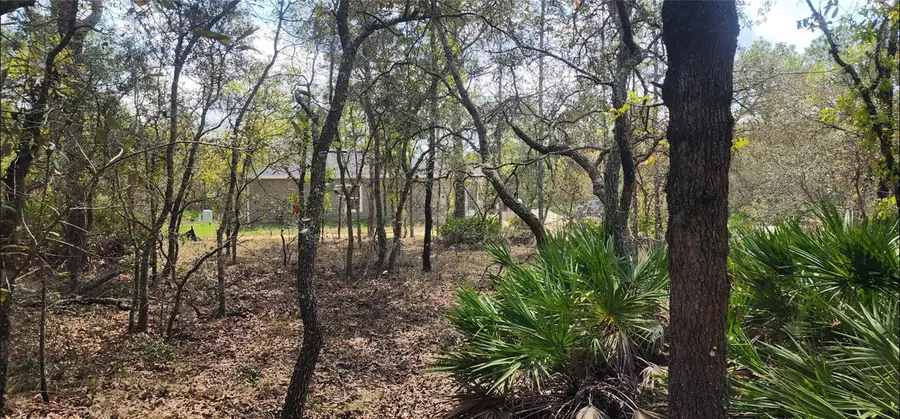18106 Parakeet Road, Brooksville, FL 34614 - #2