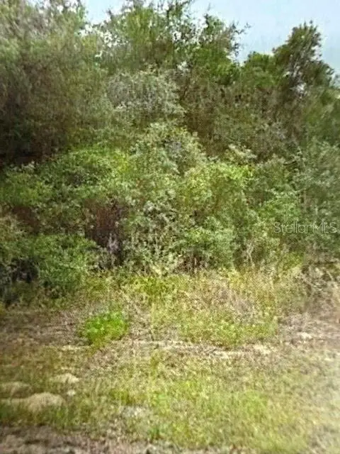 Walton, DUNNELLON, FL 34434