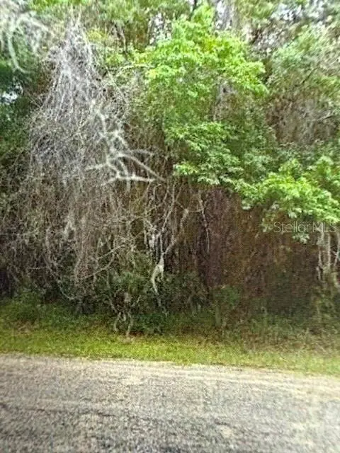 Walton, Dunnellon, FL 34434 - #3