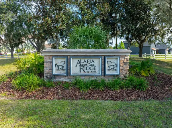 103 Alafia Estates Lane, PLANT CITY, FL 33567