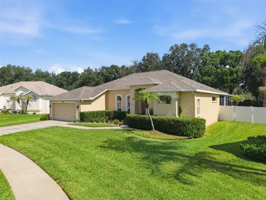 4704 Red Warbler Lane, Valrico, FL 33596 - #2