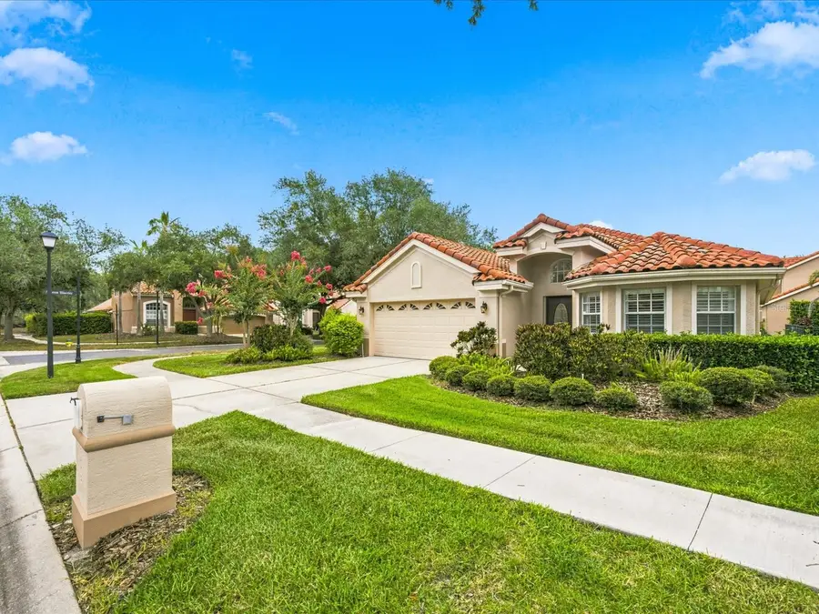 18921 Place Marquette, Lutz, FL 33558 - #3
