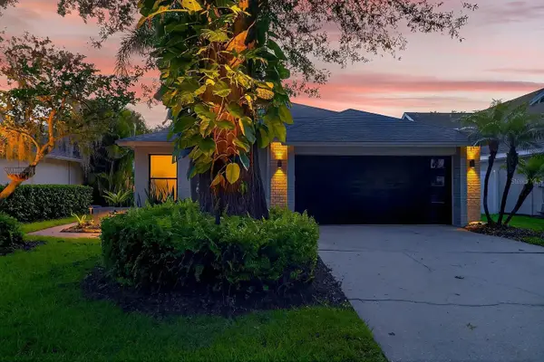14506 Clifty Court, TAMPA, FL 33624