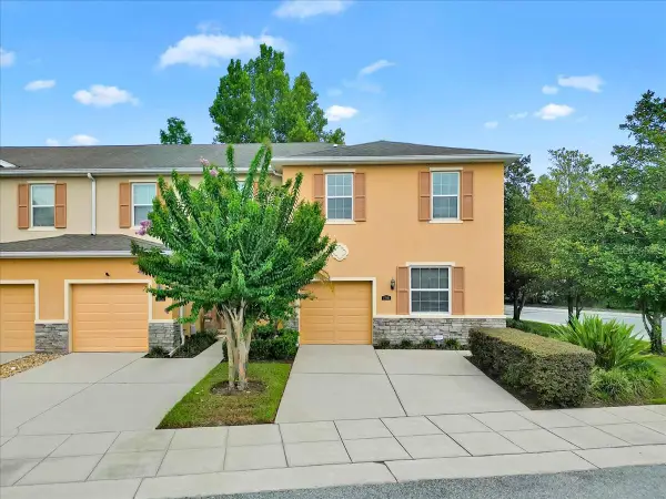 13901 River Willow Place, TAMPA, FL 33637