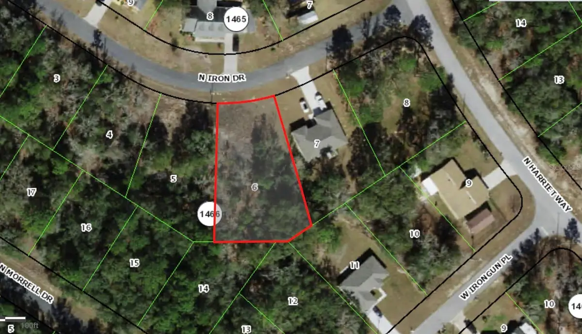 11060 N Iron Drive, Citrus Springs, FL 34434 - #1