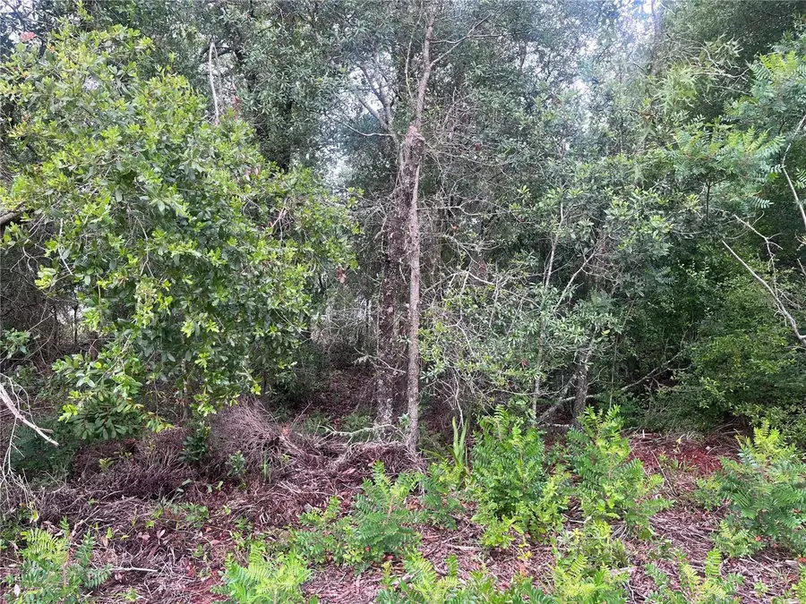 11060 N Iron Drive, Citrus Springs, FL 34434 - #3