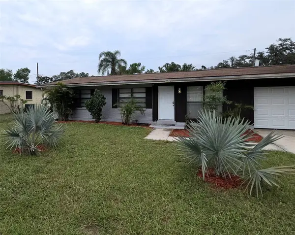 8709 N Renfrew Place, TAMPA, FL 33604