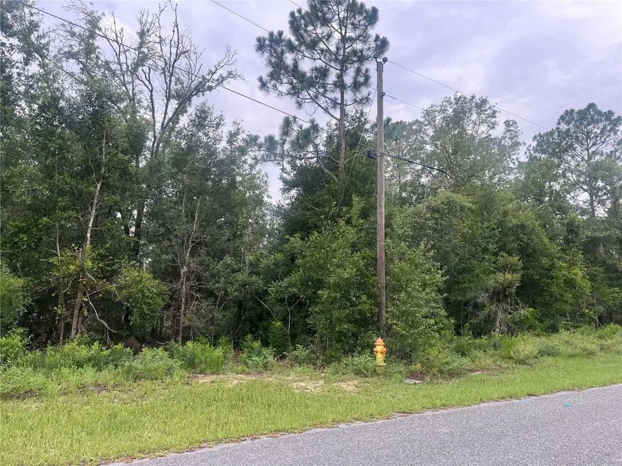 11052 N Iron Drive, Citrus Springs, FL 34434 - #2