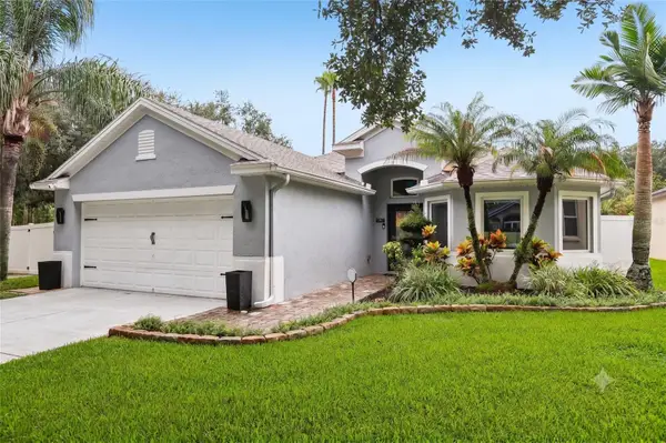 19009 Falcons Place, TAMPA, FL 33647