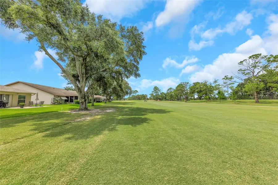 1308 Gillespie Drive, Palm Harbor, FL 34684 - #3