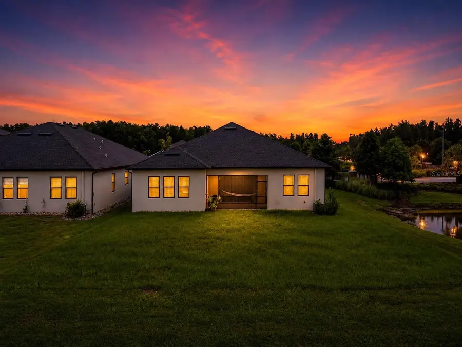 21676 Snowy Orchid Terrace, Land O Lakes, FL 34637 - #2