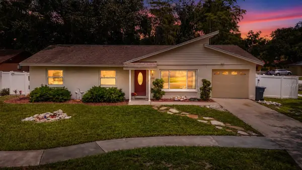 11007 Airview Drive, TAMPA, FL 33625
