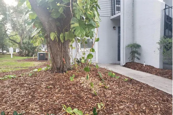 7100 Waterside Drive, TAMPA, FL 33617