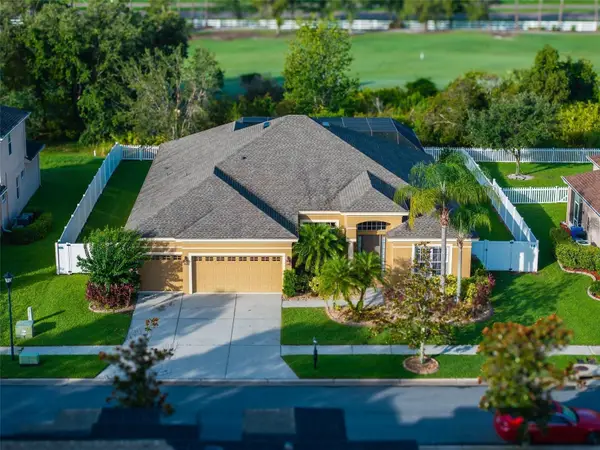 10513 Palm Cove Avenue, TAMPA, FL 33647