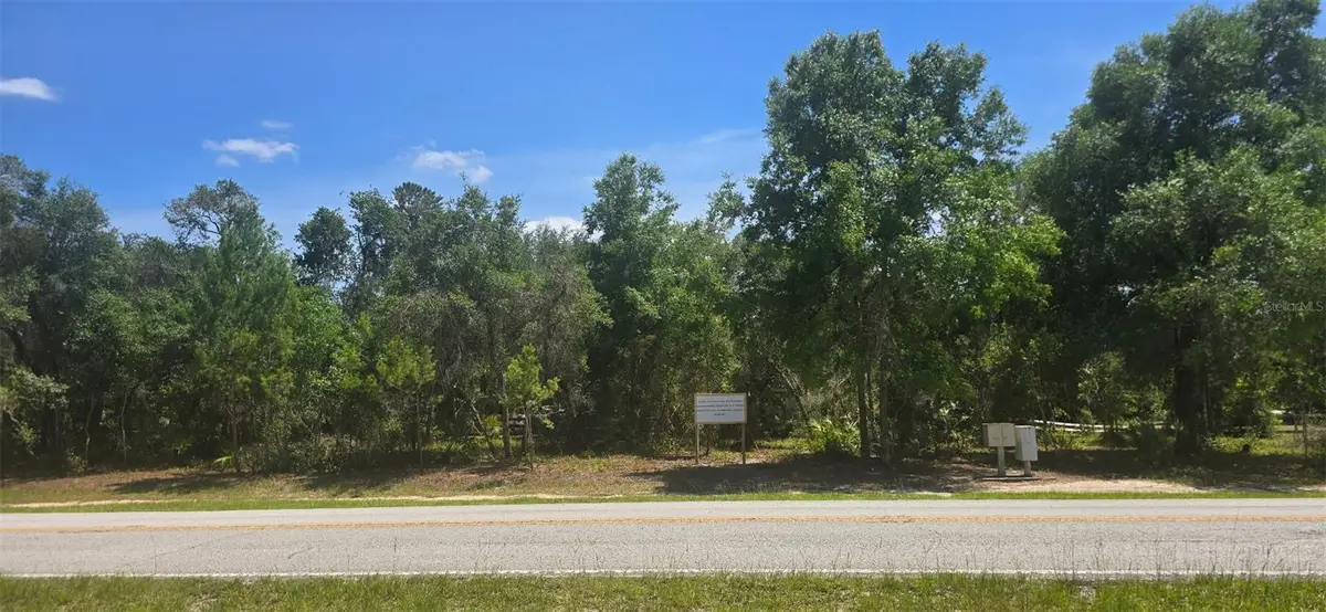 NE 236th Court, Lake Kerr, FL 32134 - #1