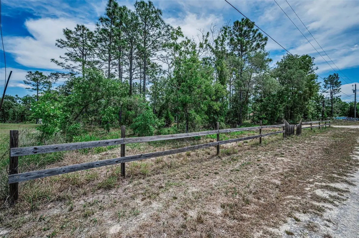 12132 Frankwood Road, Weeki Wachee, FL 34614 - #1