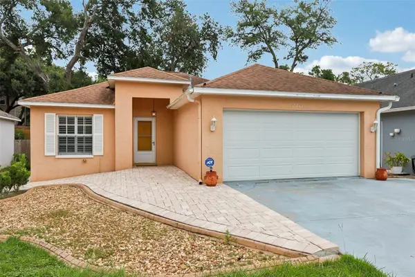 8711 Busch Oaks Street, TAMPA, FL 33617