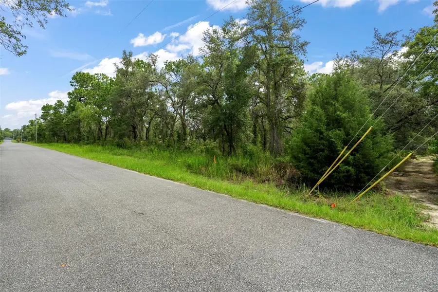 12250 Marvelwood Road, Weeki Wachee, FL 34614 - #2