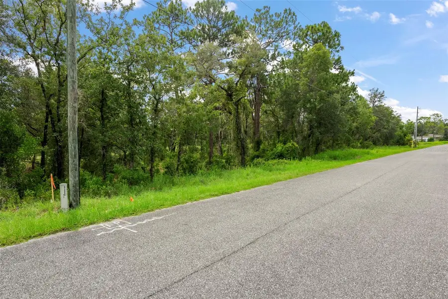 12250 Marvelwood Road, Weeki Wachee, FL 34614 - #3
