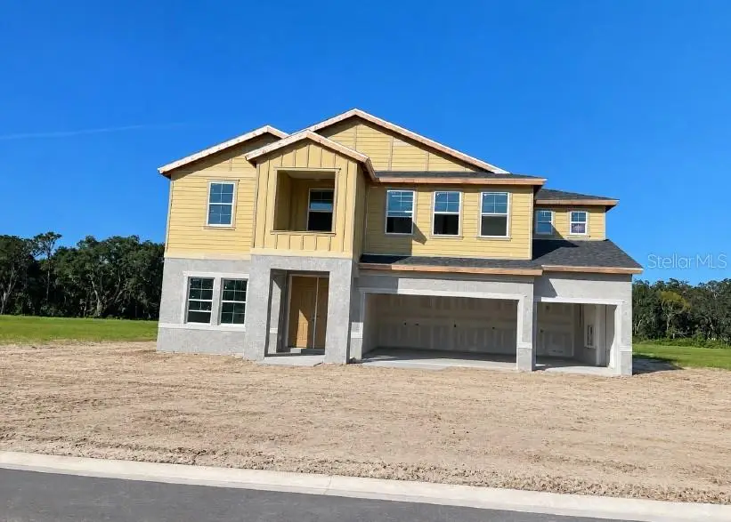 33315 Twilight Sea Place, Dade City, FL 33525 - #2