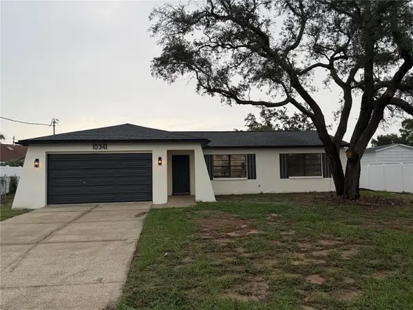10341 Caspian Street, SPRING HILL, FL 34608