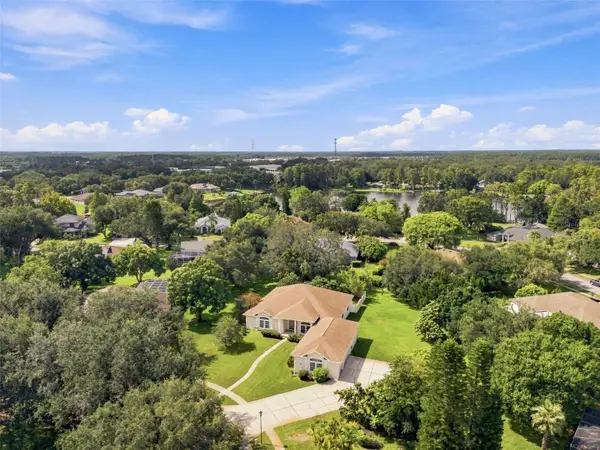 13750 Dowling Lane, ODESSA, FL 33556