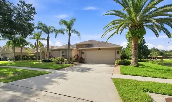 10113 Cannon Drive, RIVERVIEW, FL 33578