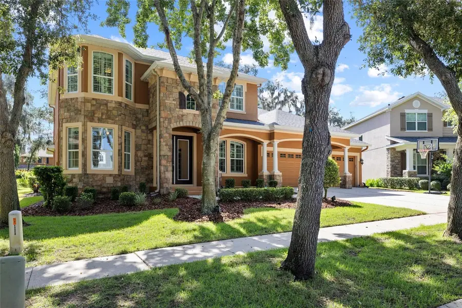 15910 Ternglade Drive, Lithia, FL 33547 - #3