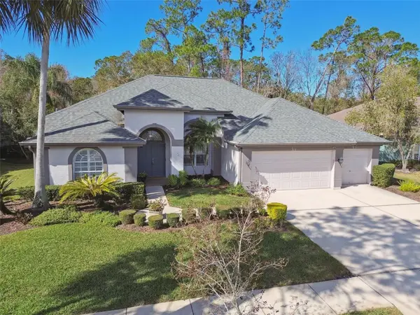 10524 Greencrest Drive, TAMPA, FL 33626