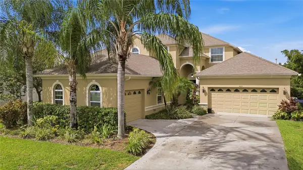 3431 Diamond Falls Circle, LAND O LAKES, FL 34638