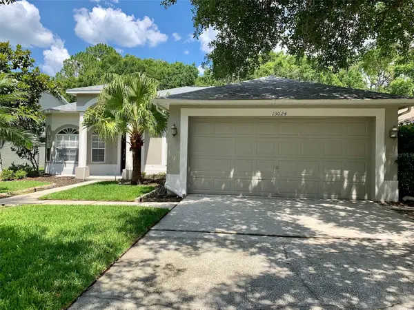 13024 Royal George Avenue, ODESSA, FL 33556