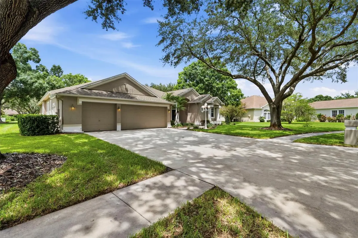 13756 Dowling Lane, Odessa, FL 33556 - #1