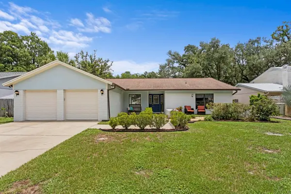 12803 Rain Forest Street, TEMPLE TERRACE, FL 33617