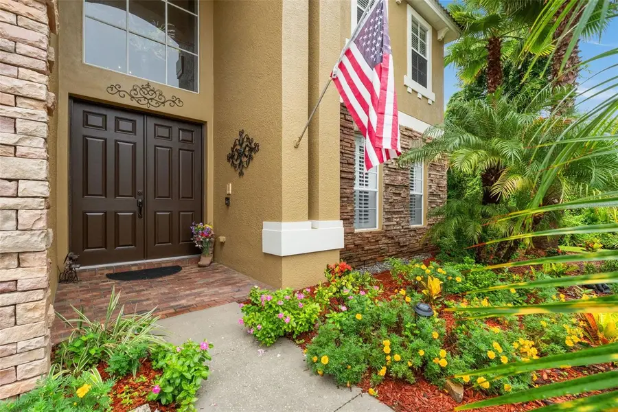 7445 Minnow Brook Way, Land O Lakes, FL 34637 - #2