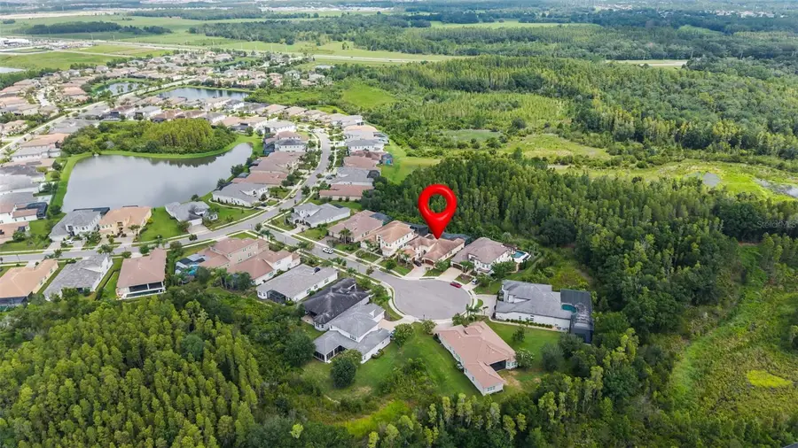 30581 Ivy Forge Court, Wesley Chapel, FL 33543 - #3