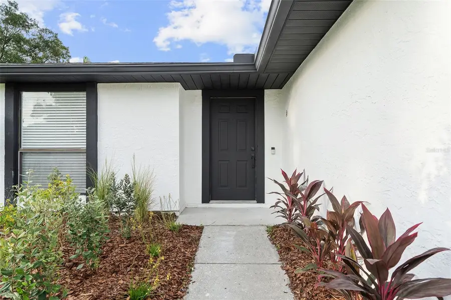 5308 Black Pine Drive, Tampa, FL 33624 - #3