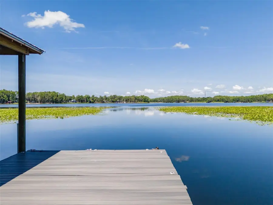 5035 Conner Drive, Land O Lakes, FL 34639 - #3
