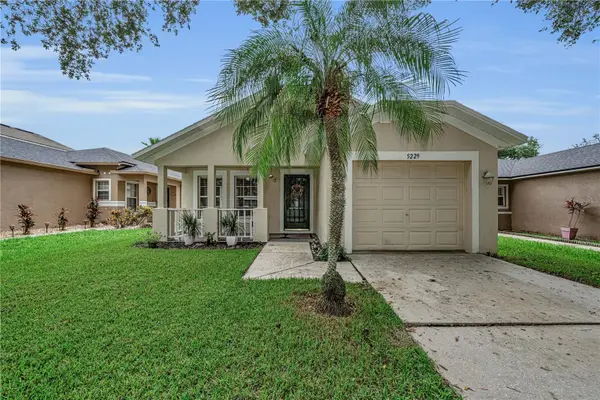 5229 Mango Fruit Street, SEFFNER, FL 33584