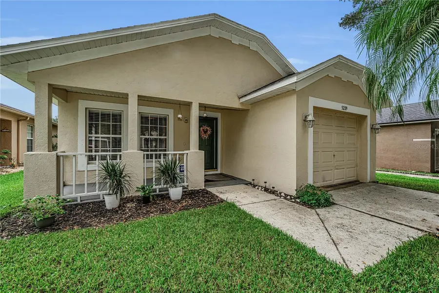 5229 Mango Fruit Street, Seffner, FL 33584 - #3