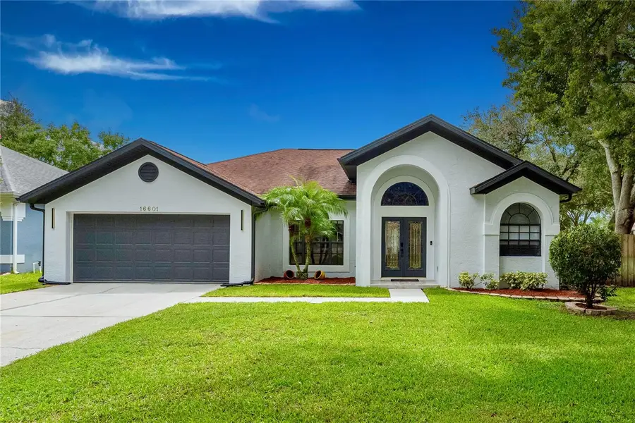 16601 Meadow Cove Street, Tampa, FL 33624 - #2